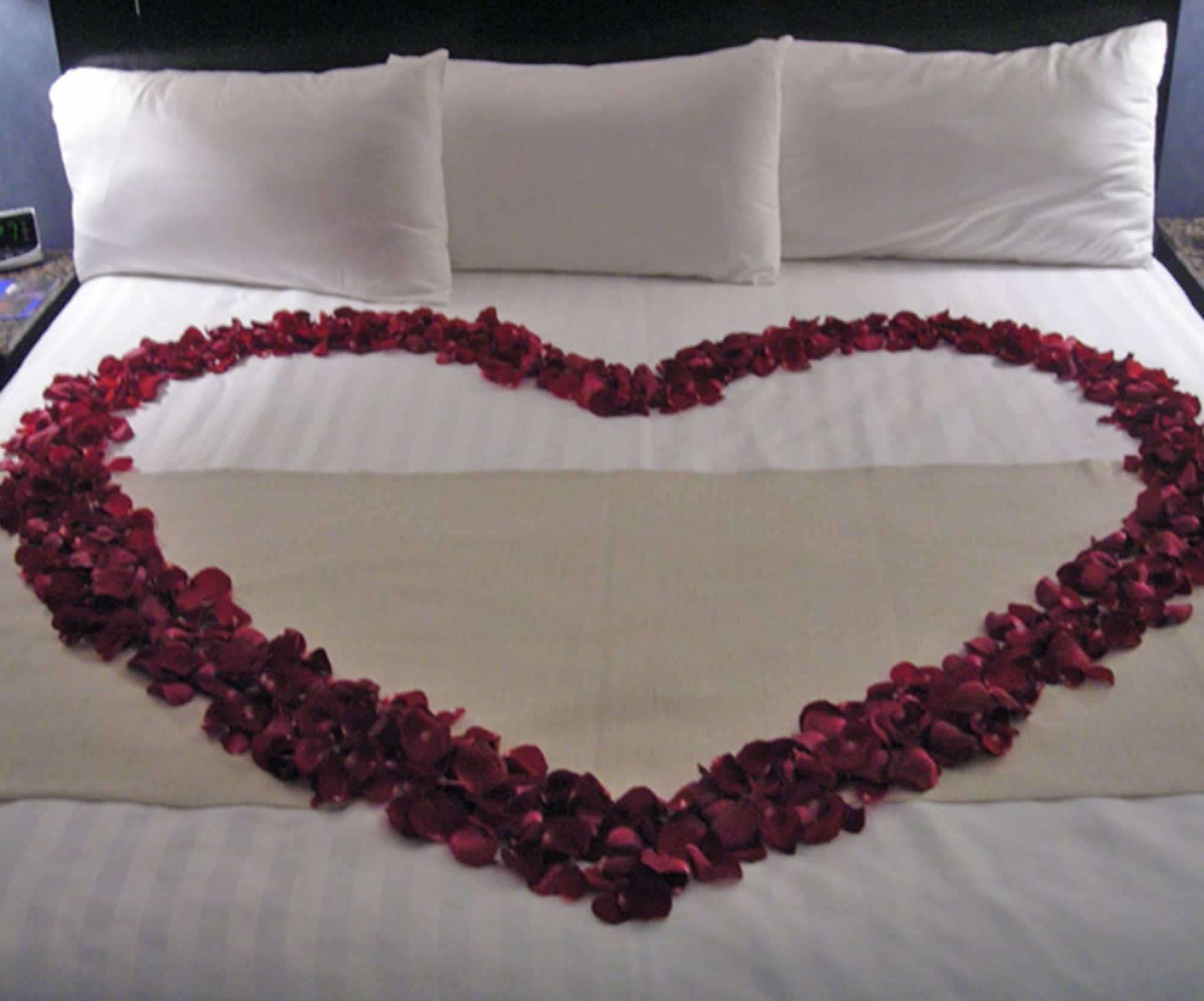 Royal Garden Reynosa Hotel Bagian luar foto